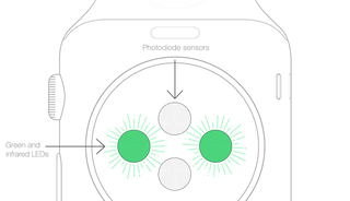 Illustration for article titled Apple explica los problemas del Apple Watch con algunos tatuajes
